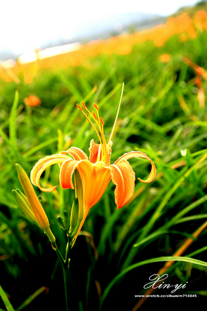 http://i.dcview.tw/gallery/201209/ccc47bbfaba2693e96089f286314e949.jpg