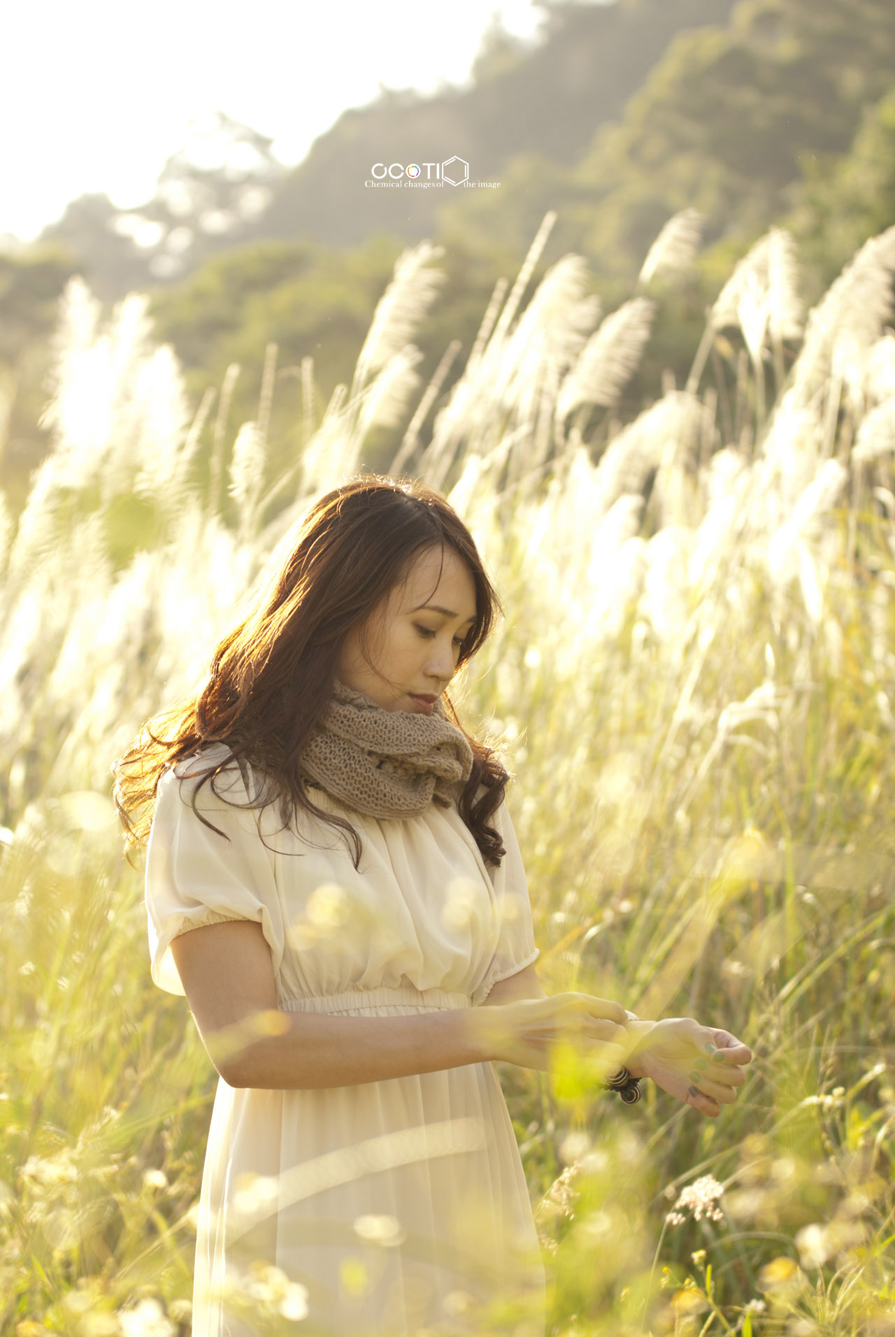 http://i.dcview.tw/gallery/201209/d6c89686b3b1a218de1363d1b466705e.jpg
