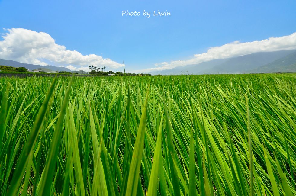 http://i.dcview.tw/gallery/201209/d8e659af31dd6ffbc3f195a5c1e81aa4.jpg
