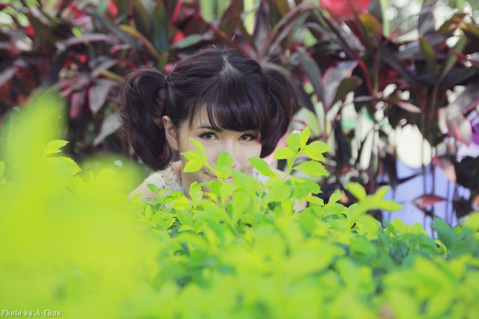 http://i.dcview.tw/gallery/201209/dfac2013984894ed008cfa0bbe464c33.jpg