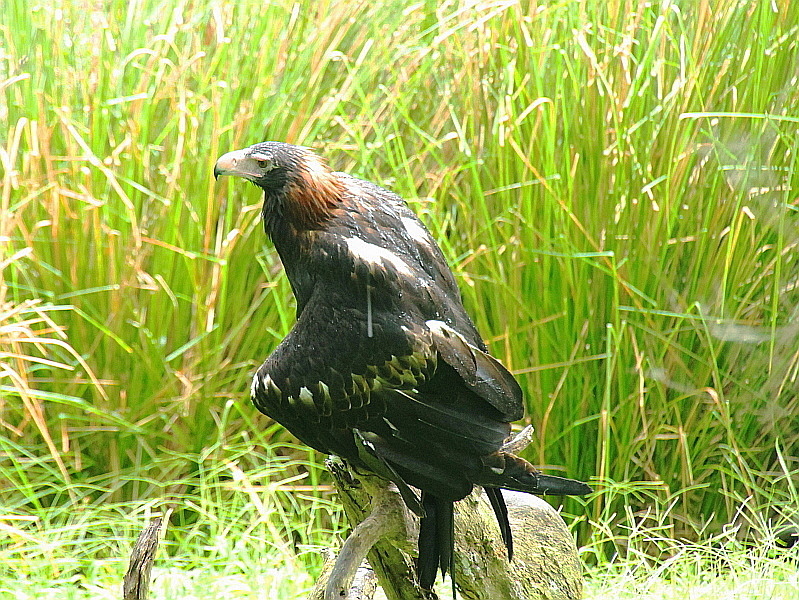 http://i.dcview.tw/gallery/201209/e2feaf9e56c4fa519233b3464188f290.jpg