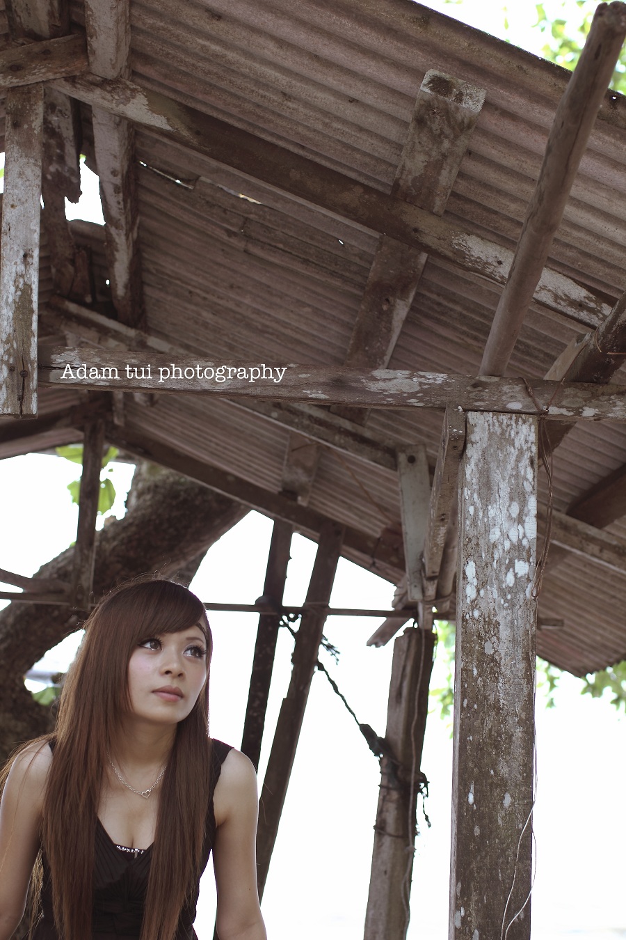 http://i.dcview.tw/gallery/201209/e7ae146b98de7b5671975ae93ac6c530.jpg