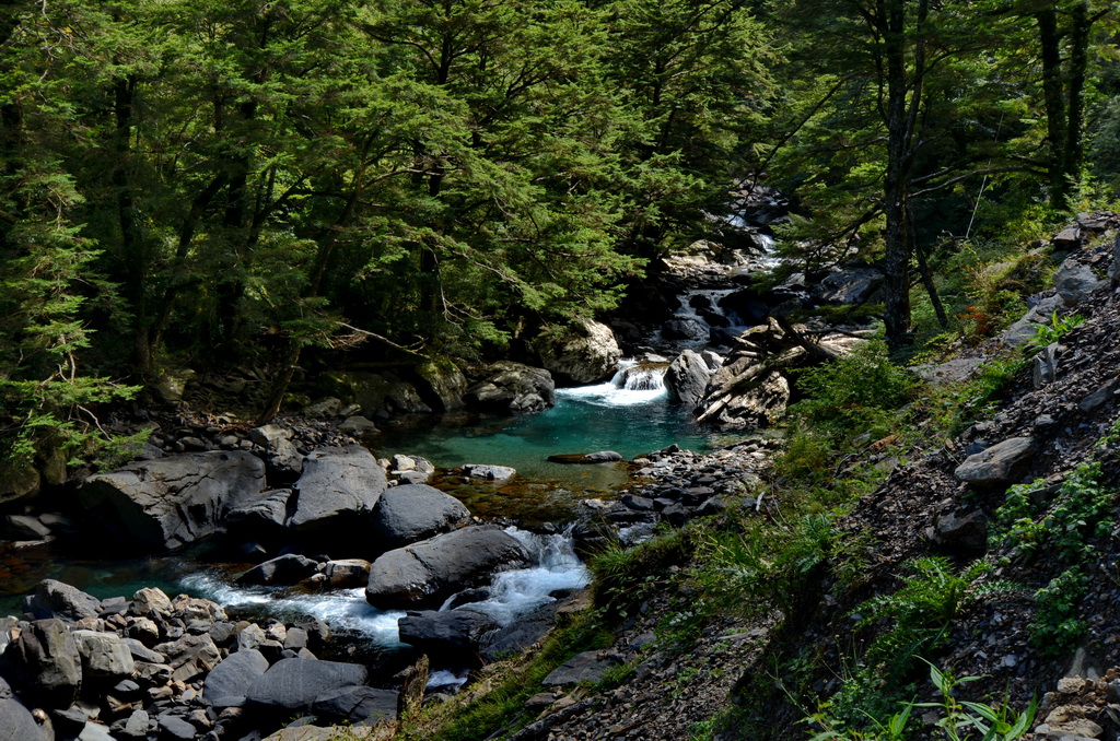 http://i.dcview.tw/gallery/201209/e9aff52fbb60a66508cef115c0ae957f.jpg