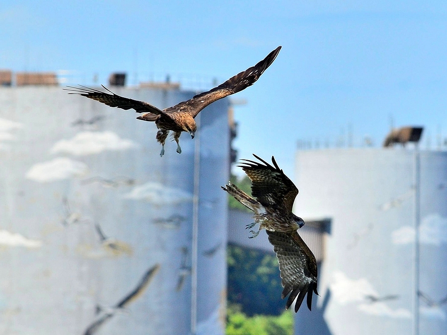 http://i.dcview.tw/gallery/201209/ee823aac1d4c07ea7f15efa542ae5019.jpg
