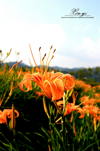 http://i.dcview.tw/gallery/201209/f5fd648bcb2d0dbc722885e08c0ed019.jpg