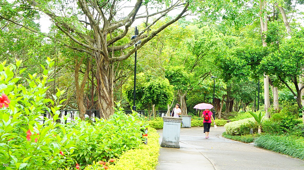 http://i.dcview.tw/gallery/201209/f7b3af31134ef6f666076b1505b0c021.jpg
