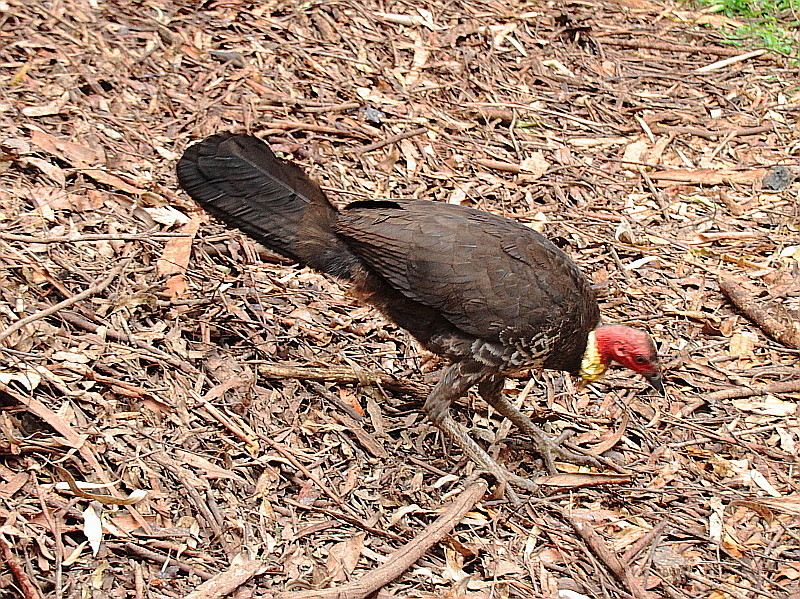 http://i.dcview.tw/gallery/201209/f973aab7ecdf7d0eeb81502287c73740.jpg