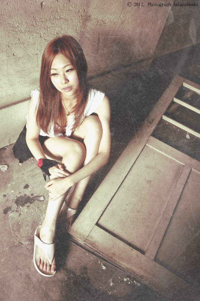 http://i.dcview.tw/gallery/201209/ff5294443c6e9eda054c6ff2cc09970c.jpg