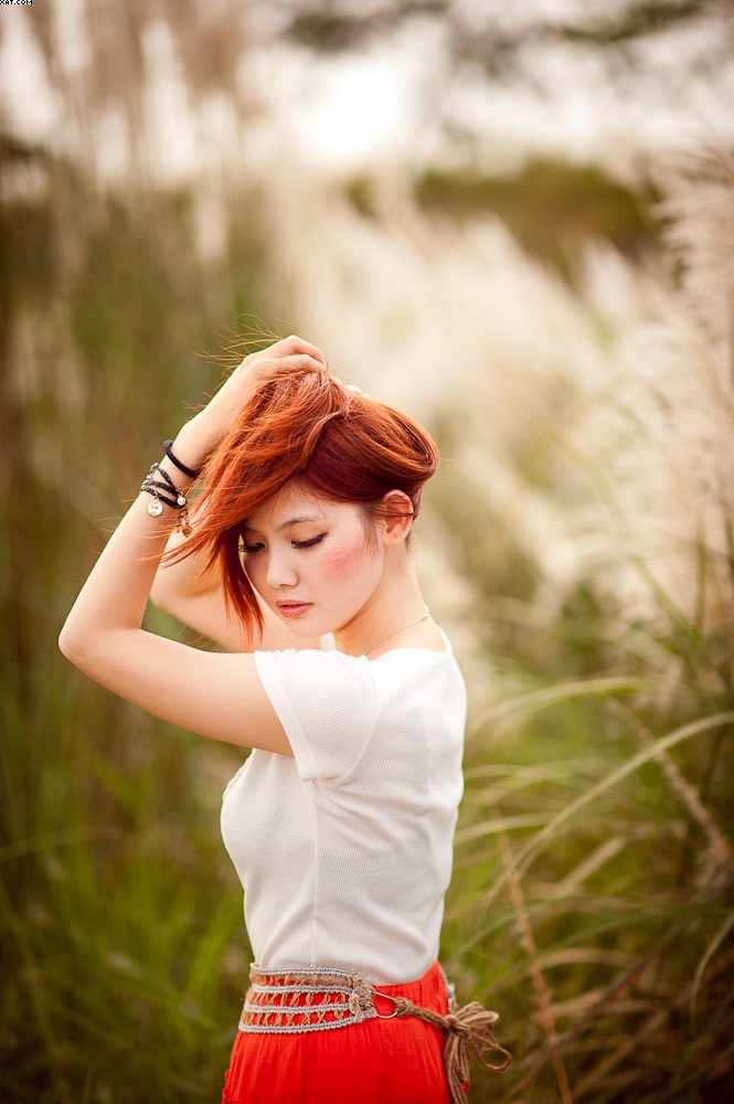 http://i.dcview.tw/gallery/201210/002a4559225a1fcc9cb0e1b5c66e6abf.jpg