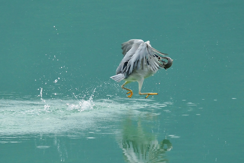 http://i.dcview.tw/gallery/201210/0b8d2f688e3f5b5e5f58f1aa13527d0c.jpg