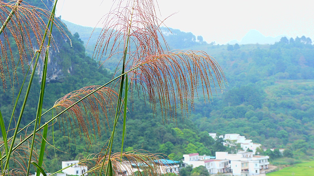 http://i.dcview.tw/gallery/201210/115697cfd71695f0e8f176e880cc50d0.jpg
