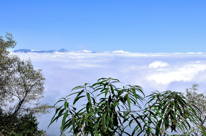 http://i.dcview.tw/gallery/201210/150731b160ab644faa822be0bfde3ad3.jpg