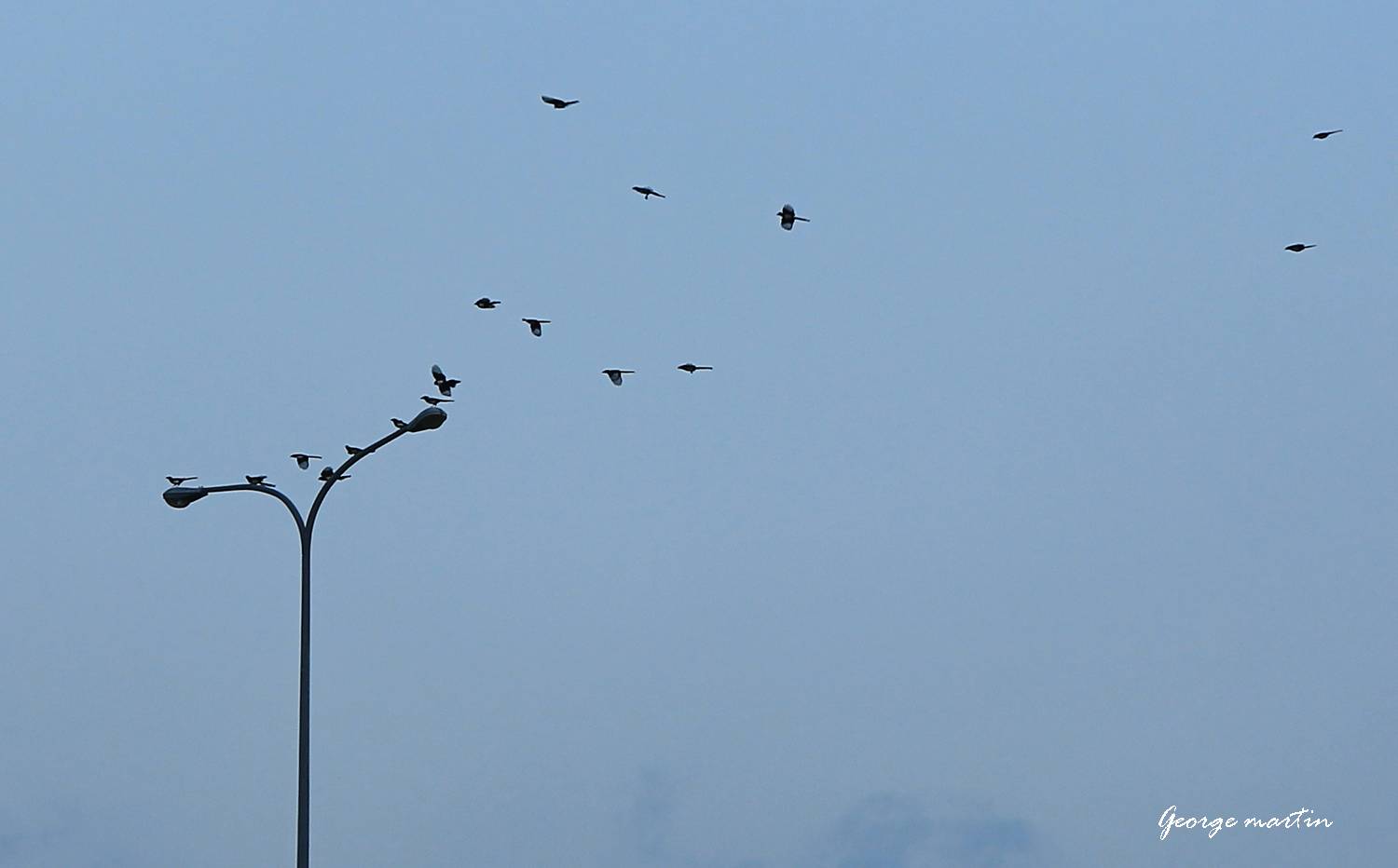 http://i.dcview.tw/gallery/201210/17c88d7140f62155eb3488aeb49095c4.jpg