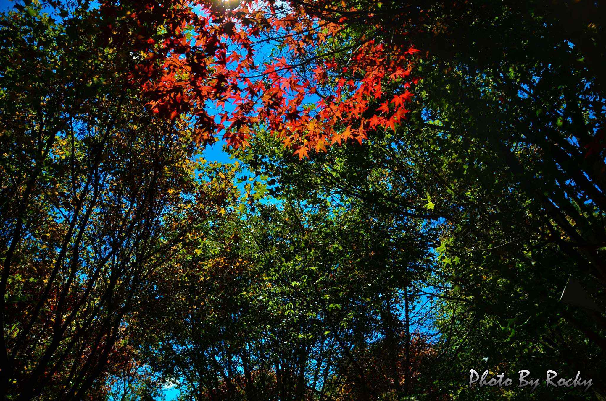 http://i.dcview.tw/gallery/201210/1a62aa557c8345d26b0ae132aaedab62.jpg