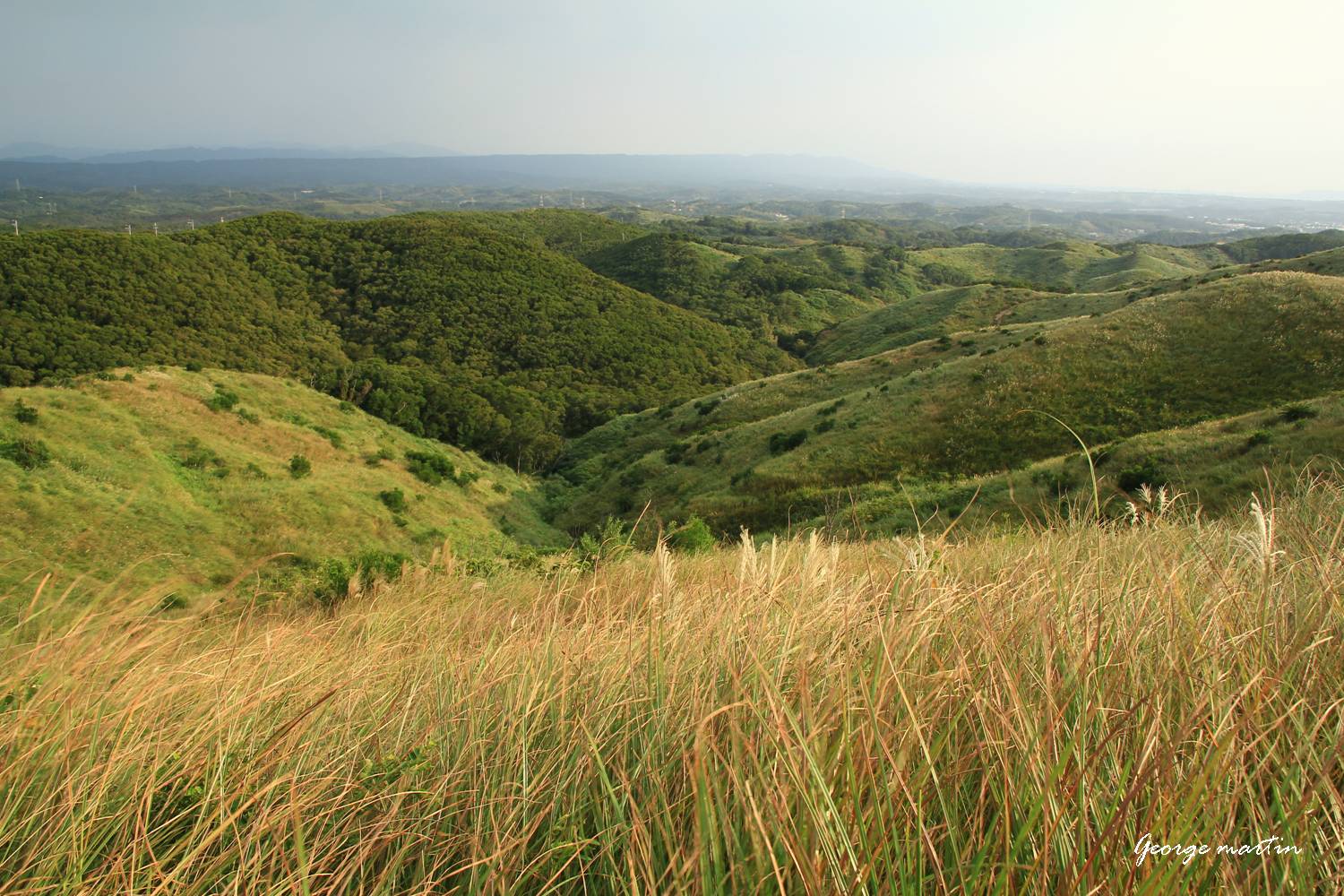 http://i.dcview.tw/gallery/201210/203b396102a69809886ee3f4f748f55e.jpg