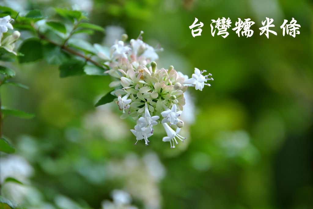 http://i.dcview.tw/gallery/201210/2073f6b00b9ee3a6775e033d2ad5a1c4.jpg