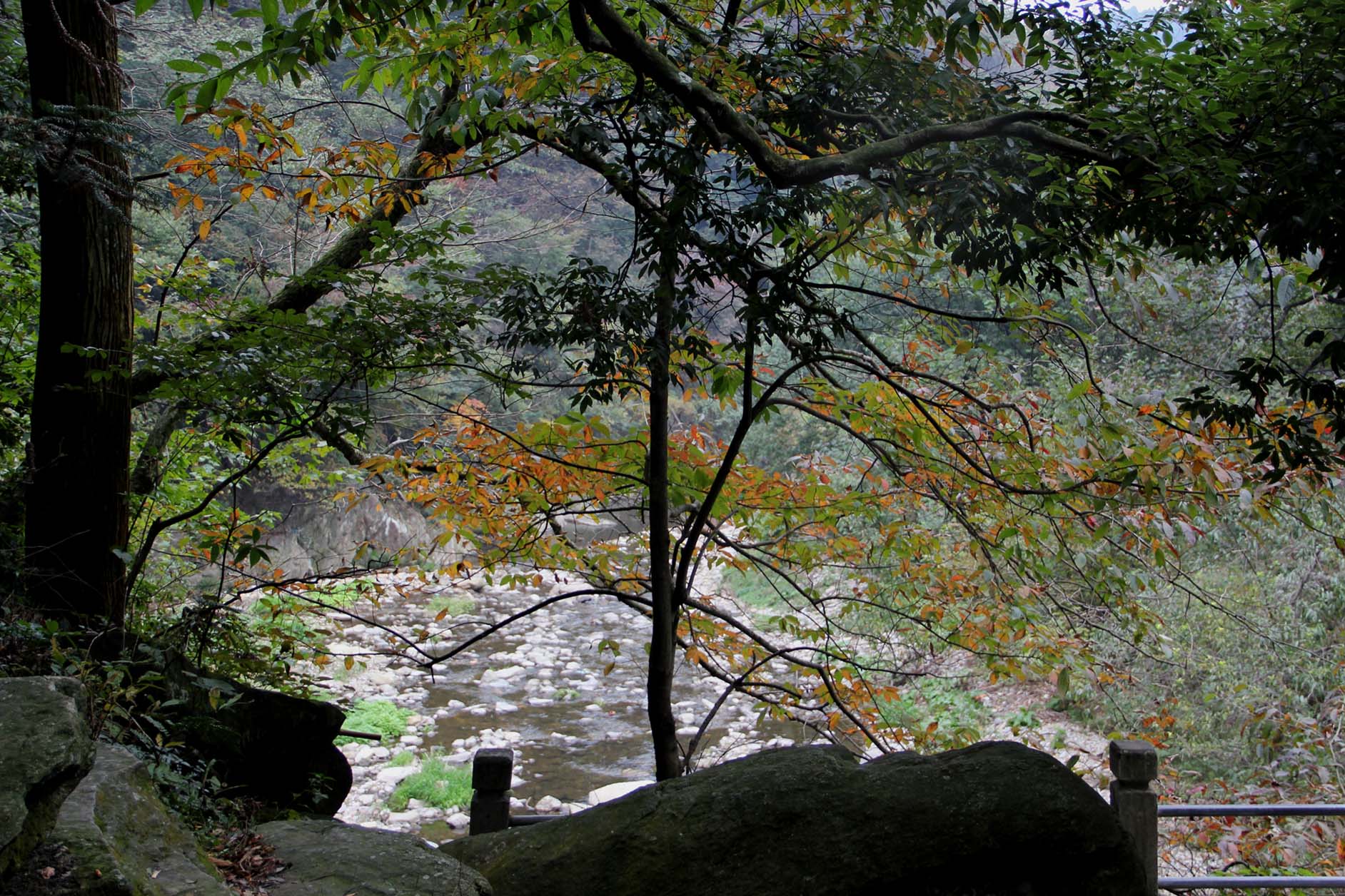 http://i.dcview.tw/gallery/201210/25f39a44609b05a951e55c65e6cc5424.jpg