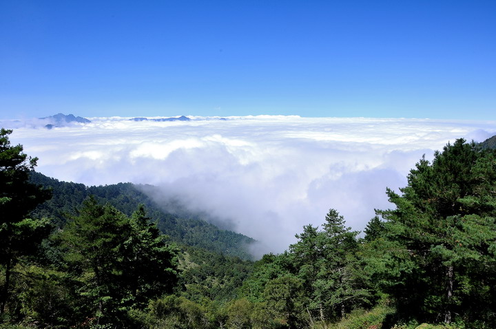 http://i.dcview.tw/gallery/201210/2cbc20ad920aa00dd7f02a293cbf0e5e.jpg