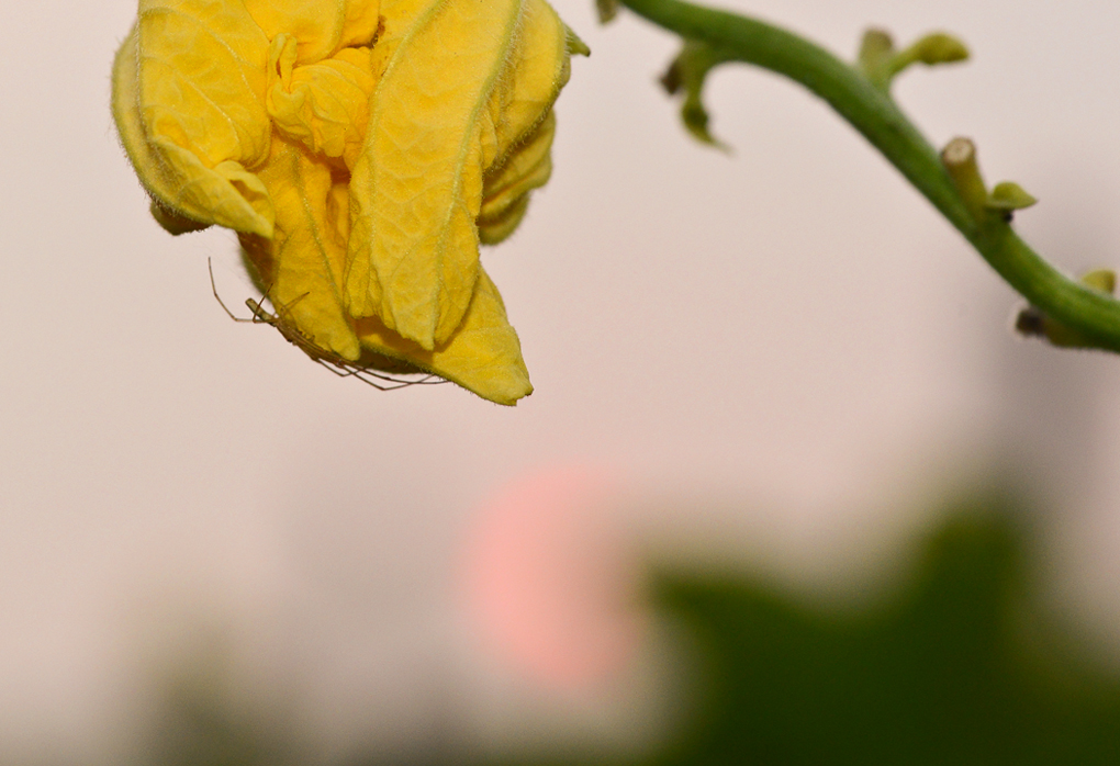http://i.dcview.tw/gallery/201210/33251cd0bd4fa2562c33233bde1d4766.jpg