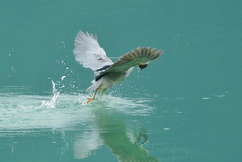 http://i.dcview.tw/gallery/201210/345764b4b5dbf62a92839cc9a698fb1b.jpg