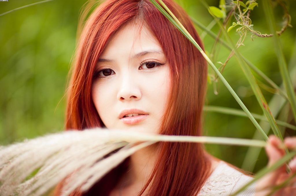 http://i.dcview.tw/gallery/201210/34b72133f9ff8e0ad116a0a728f0f976.jpg