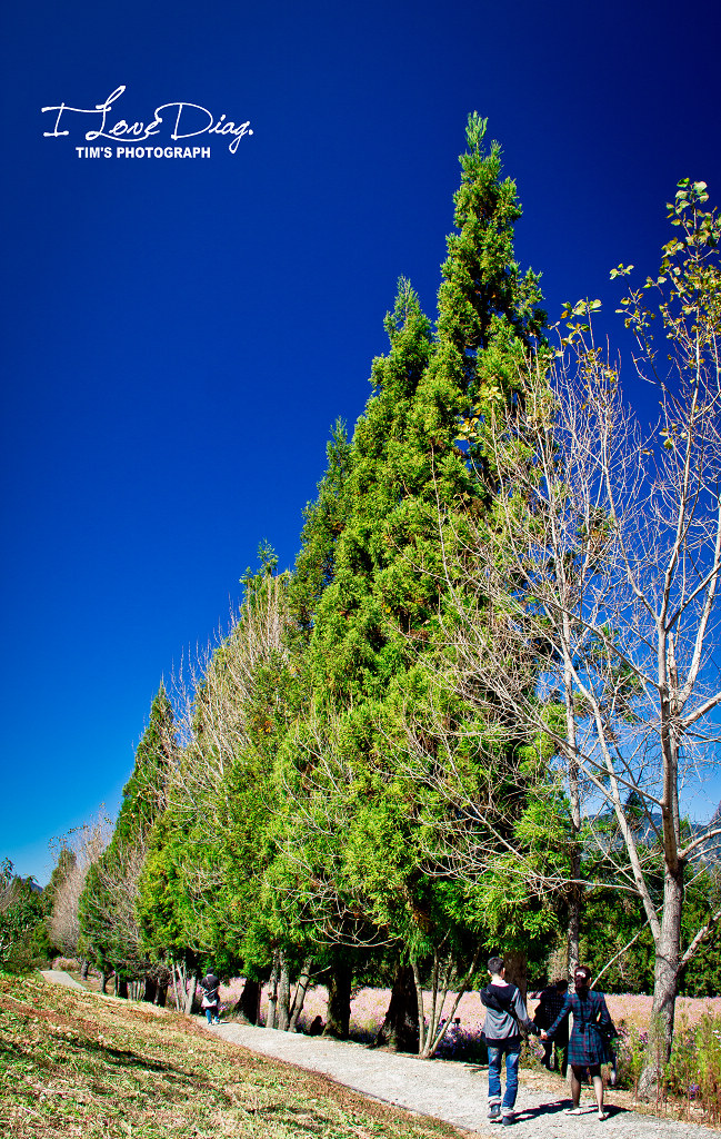 http://i.dcview.tw/gallery/201210/396d6c74103e6e46f643d0bd62b755e5.jpg
