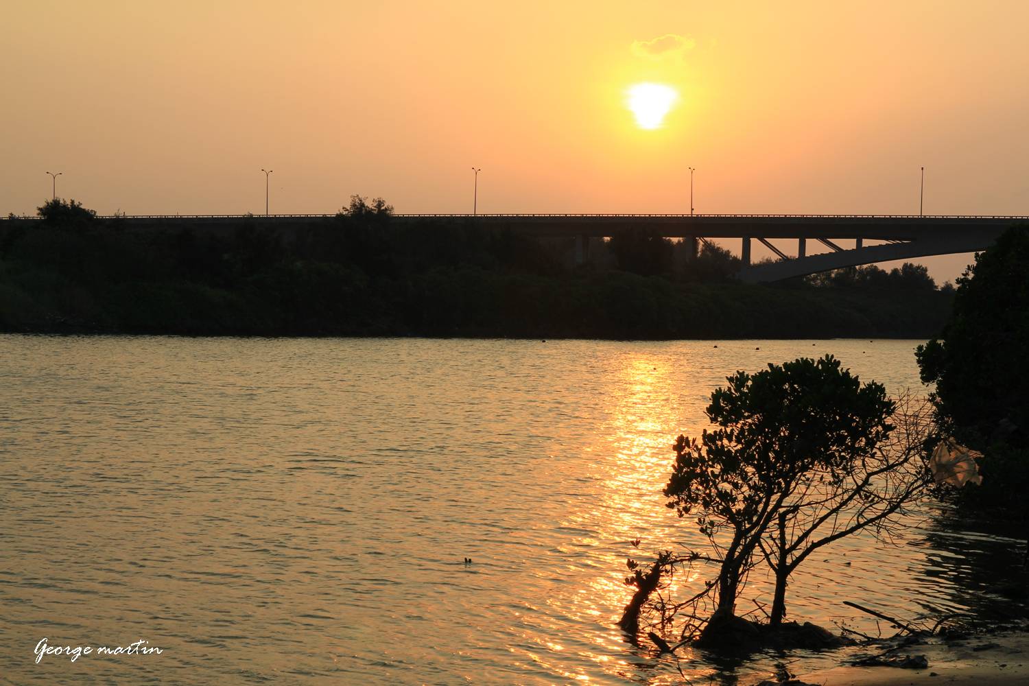 http://i.dcview.tw/gallery/201210/3bee9e55e91e52f5eab903f2853c2c48.jpg