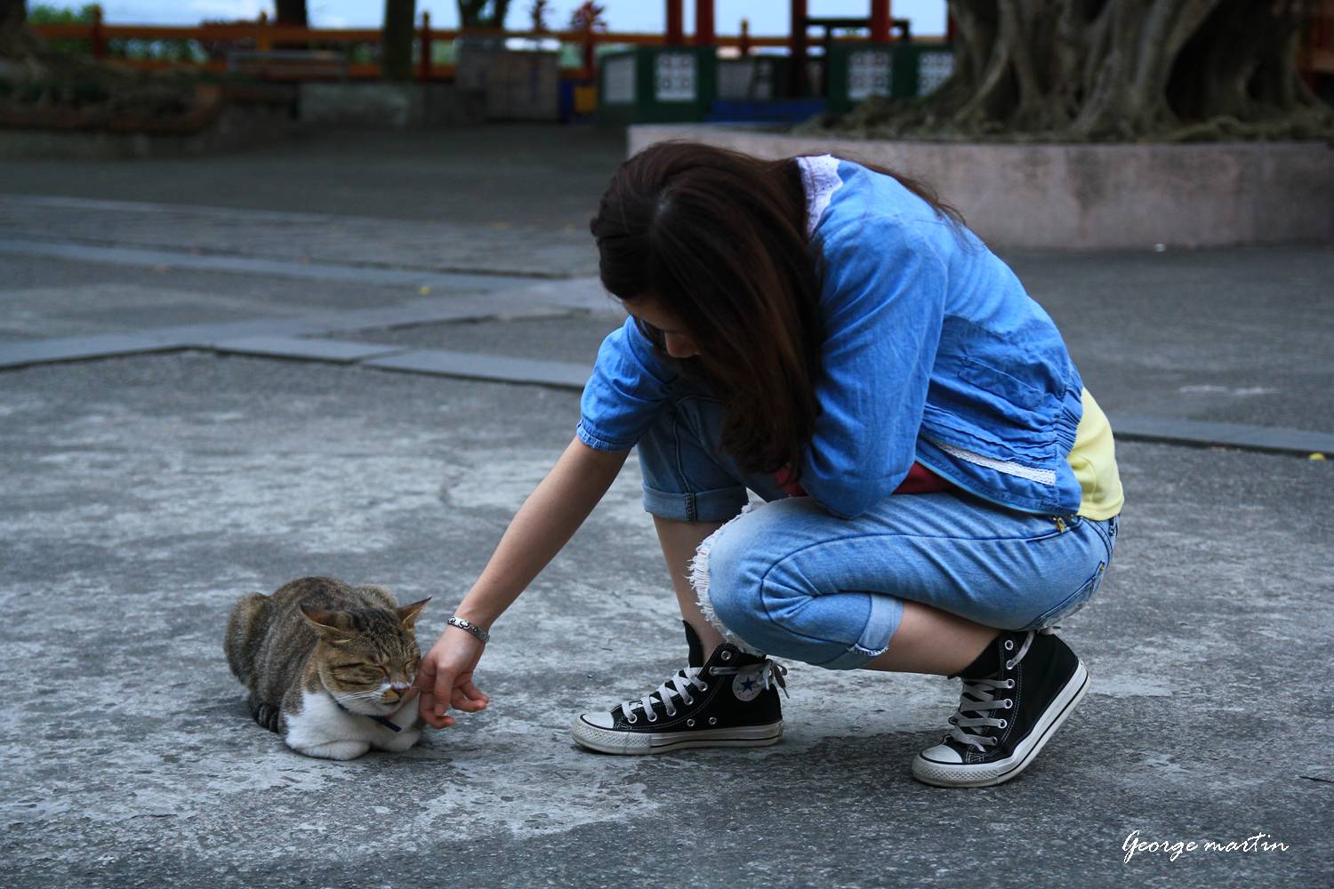 http://i.dcview.tw/gallery/201210/3e8a1b9123728278cb65bf54b51742c5.jpg