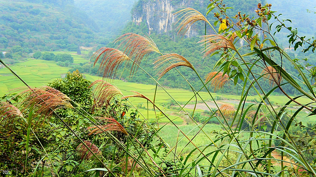 http://i.dcview.tw/gallery/201210/442eefad3d924b312568a4f520c24e2a.jpg