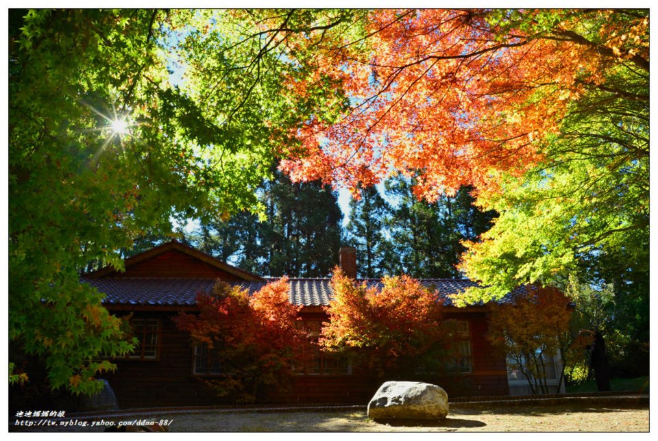 http://i.dcview.tw/gallery/201210/44f377fb55a2a4a4cb952475a426a1fe.jpg