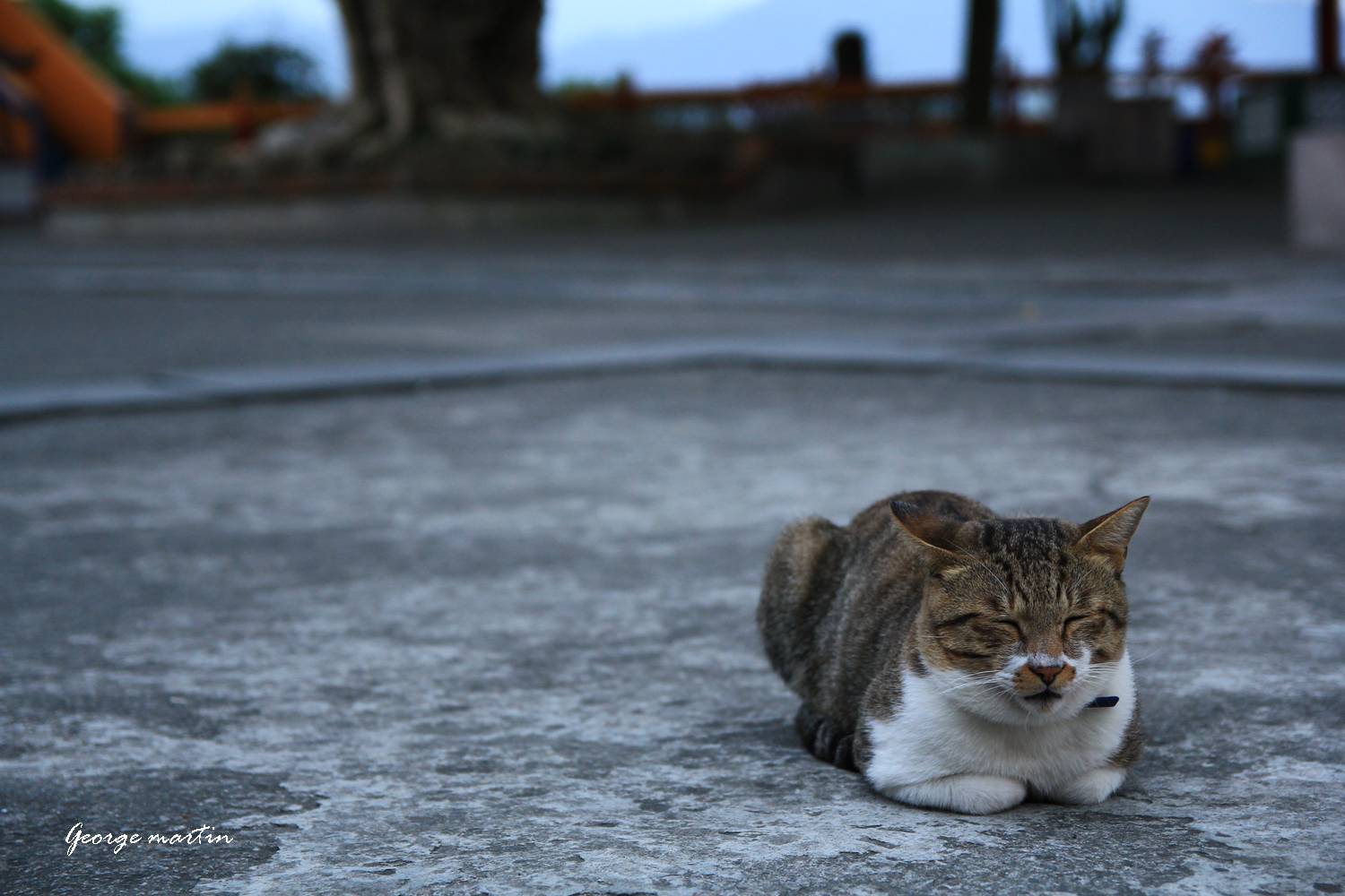 http://i.dcview.tw/gallery/201210/480f0c4b44493616bde0e3bc801d8d16.jpg