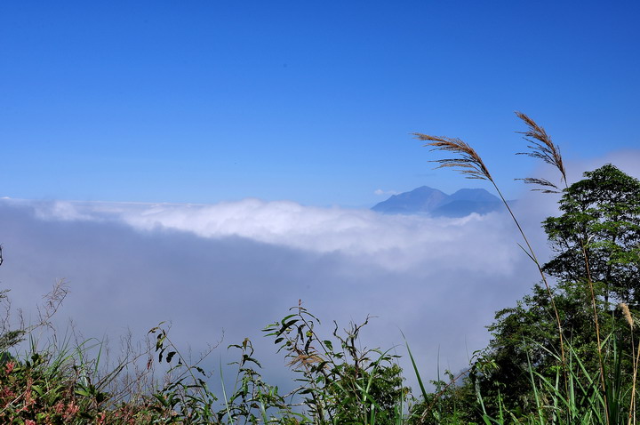 http://i.dcview.tw/gallery/201210/489235f6a51653d4d997a2af4192af89.jpg
