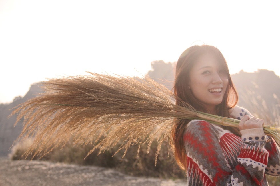 http://i.dcview.tw/gallery/201210/5163a1013a846b3e4bc9c79f1e97e20a.jpg