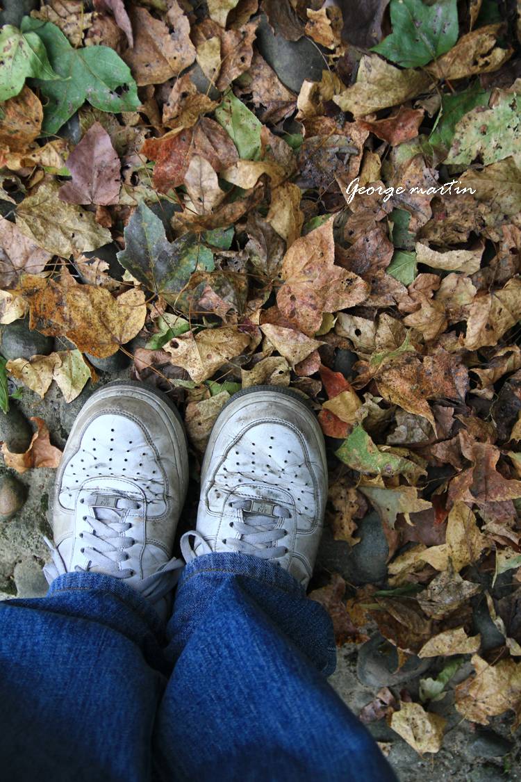 http://i.dcview.tw/gallery/201210/51998bff5162f711b9289f3bf65fad25.jpg
