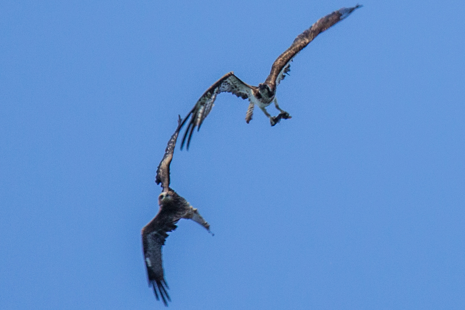 http://i.dcview.tw/gallery/201210/55c8ccce2d23be93917df9f0847c4553.jpg