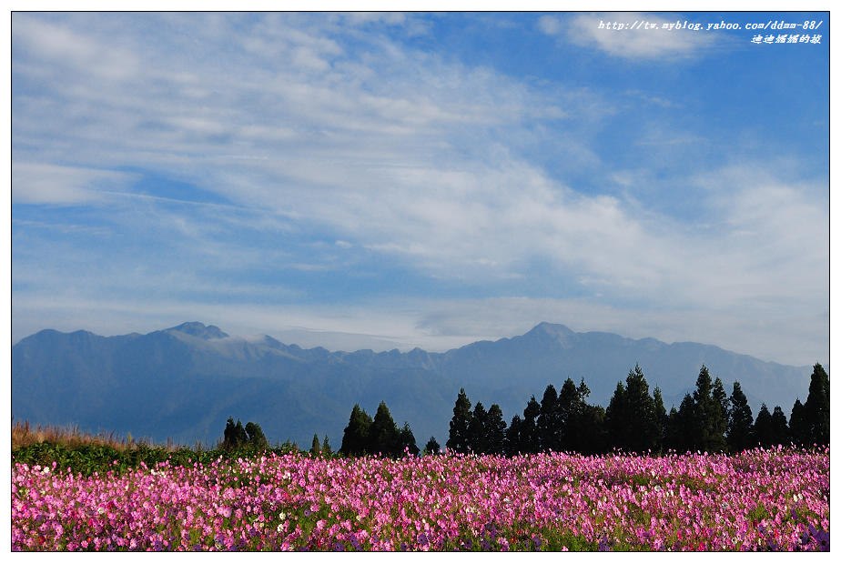 http://i.dcview.tw/gallery/201210/5d8a7000e184ac2e052d6c0ca917dcb8.jpg