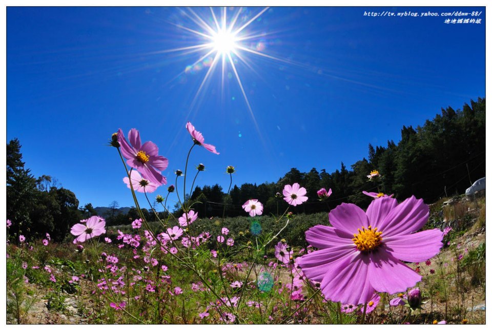 http://i.dcview.tw/gallery/201210/64b8f83f7aeac979df0591221c0cef2b.jpg