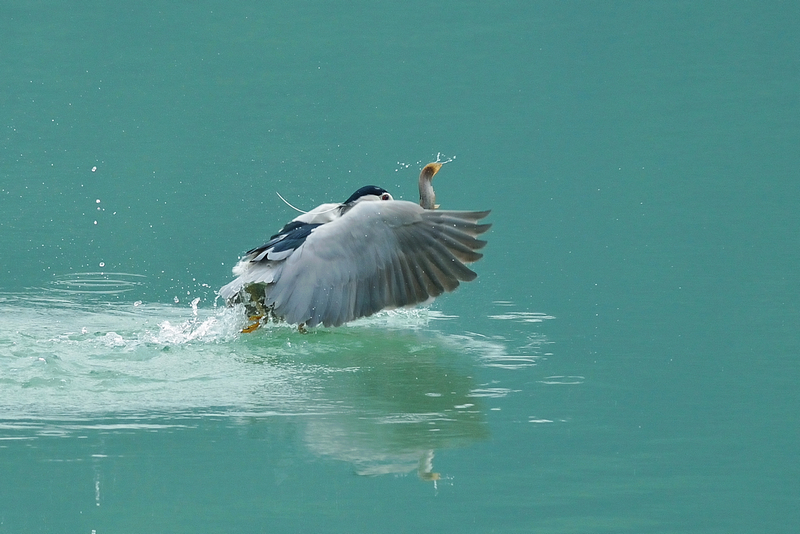 http://i.dcview.tw/gallery/201210/685491b72fcc76857fb1e001e3f0b6c7.jpg