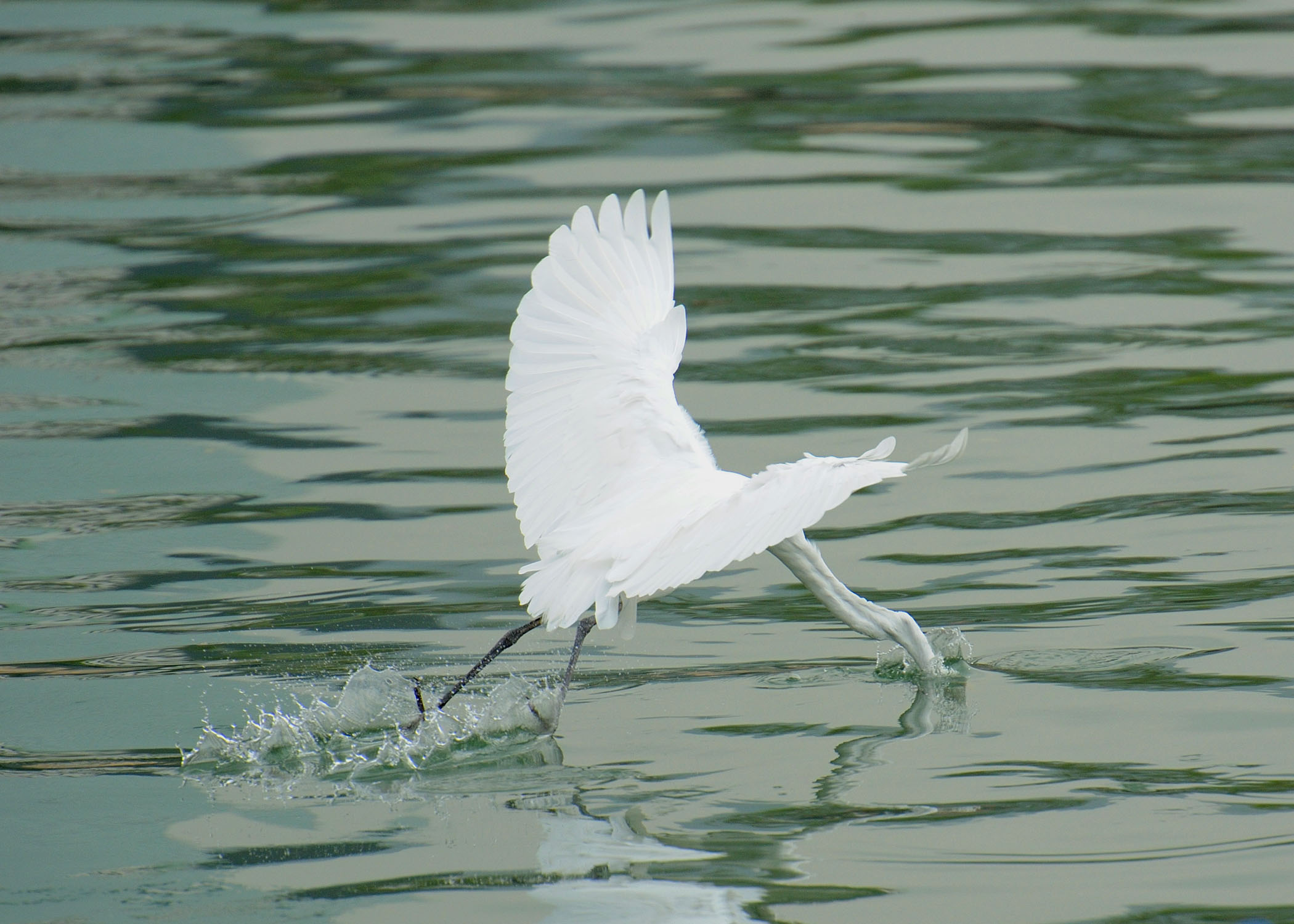 http://i.dcview.tw/gallery/201210/75fc8bc33119692b02171d912897140f.jpg