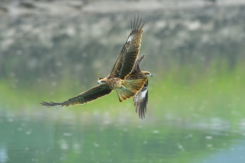 http://i.dcview.tw/gallery/201210/79996eed6d6f5bb2c225ebc61efb344a.jpg