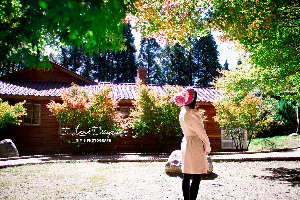 http://i.dcview.tw/gallery/201210/7a3d0d710da65b93821d58c08a613654.jpg