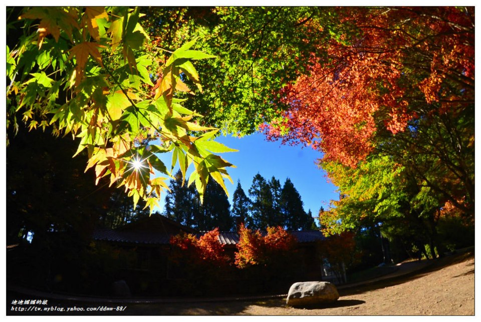http://i.dcview.tw/gallery/201210/7edba8137e0564af96d05d106f220215.jpg