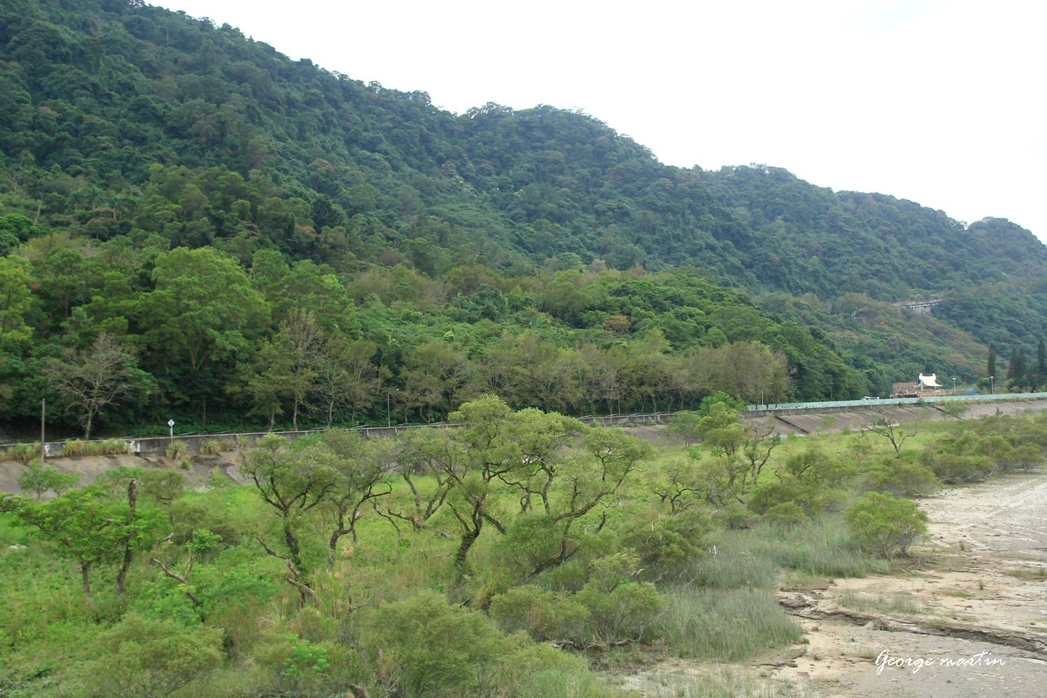 http://i.dcview.tw/gallery/201210/82cff1c145570ad01f1c46d795cd419d.jpg