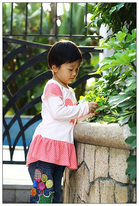 http://i.dcview.tw/gallery/201210/8a5488d60ef797f482512c0d25f5a0cc.jpg