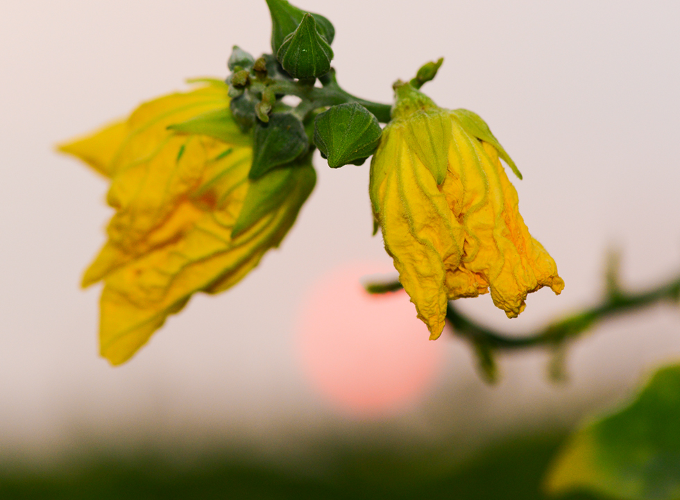 http://i.dcview.tw/gallery/201210/936aab119dd725a680054f9d07d2717e.jpg