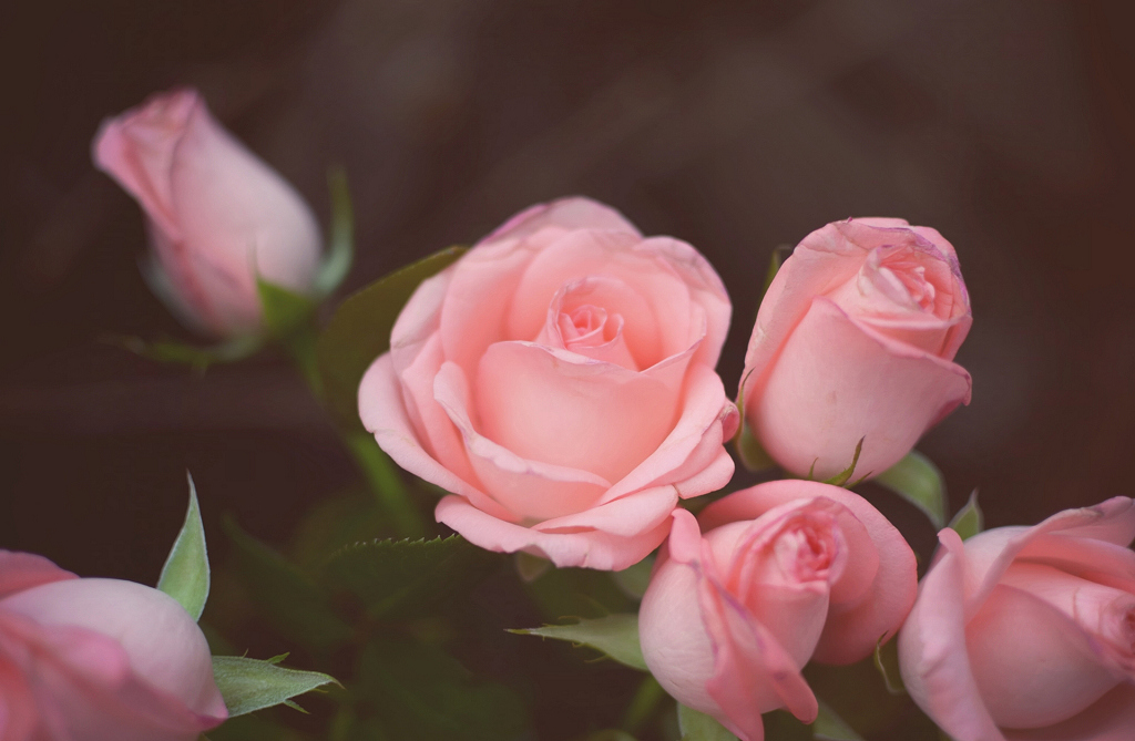 http://i.dcview.tw/gallery/201210/9ae989addbb858faf36f433e33e1203b.jpg