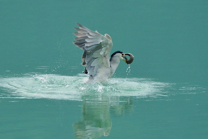 http://i.dcview.tw/gallery/201210/9d879e12bdc61bde52279b1df56fe271.jpg