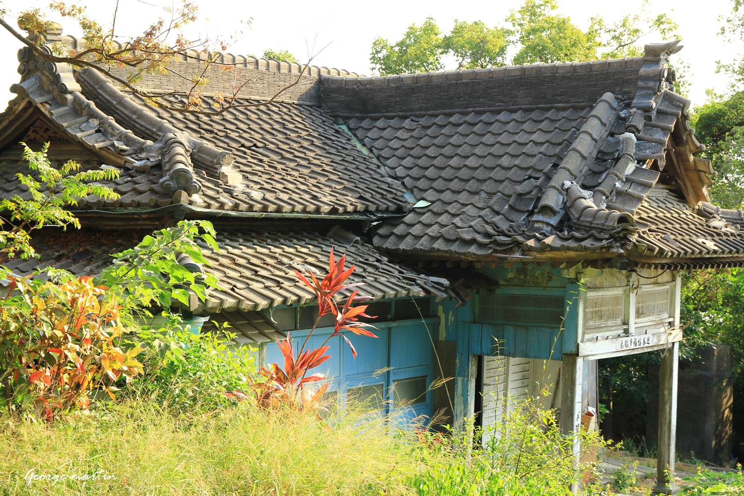 http://i.dcview.tw/gallery/201210/a0b5f2627f5d69d50c644c6e10c14705.jpg