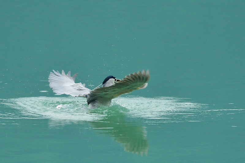 http://i.dcview.tw/gallery/201210/a4233691bb5d46370302b6093c9a72ac.jpg