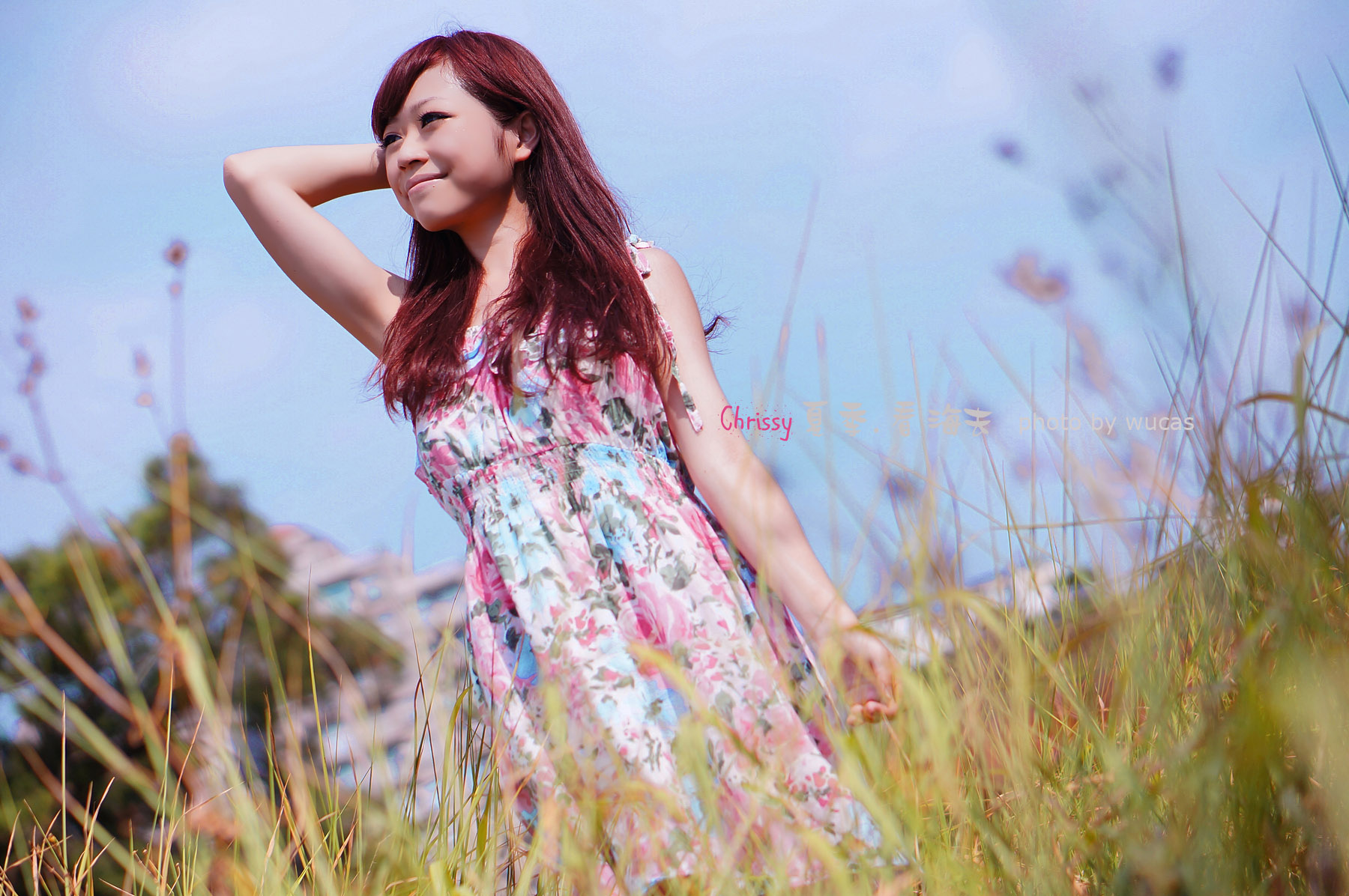 http://i.dcview.tw/gallery/201210/a460f5eff0ea544523ff2e4837666c9e.jpg